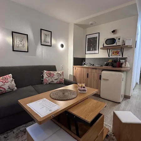 Standing - La Coque D'or - Mont-st-michel Monte Saint Michel